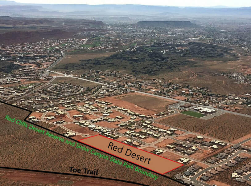 463 E Red Desert Trail