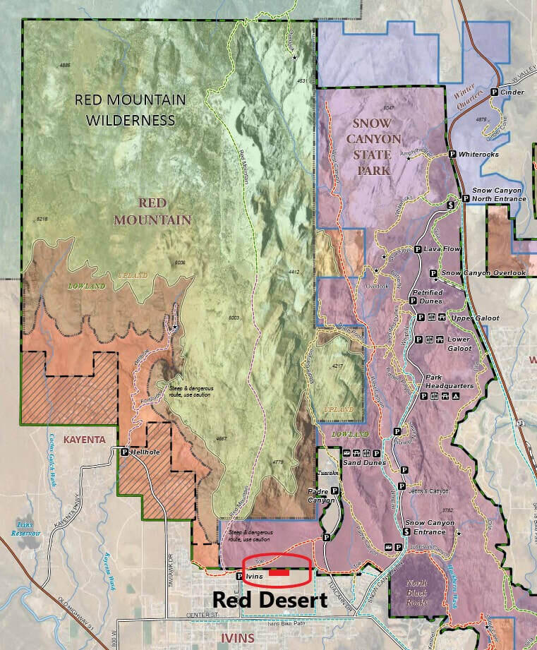 463 E Red Desert Trail