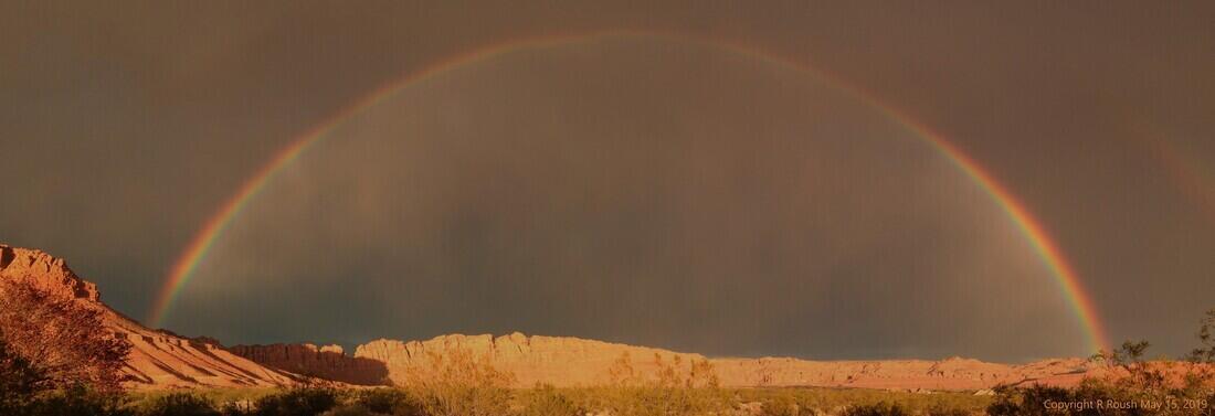 463 E Red Desert Trail