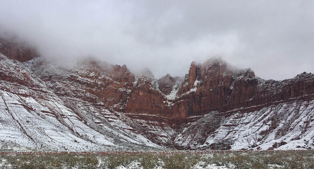 463 E Red Desert Trail