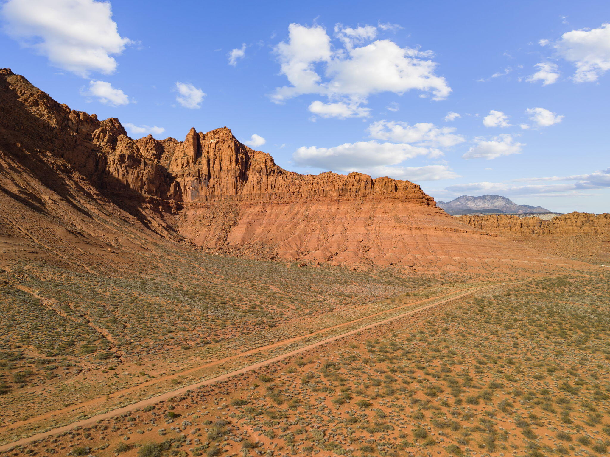 463 E Red Desert Trail