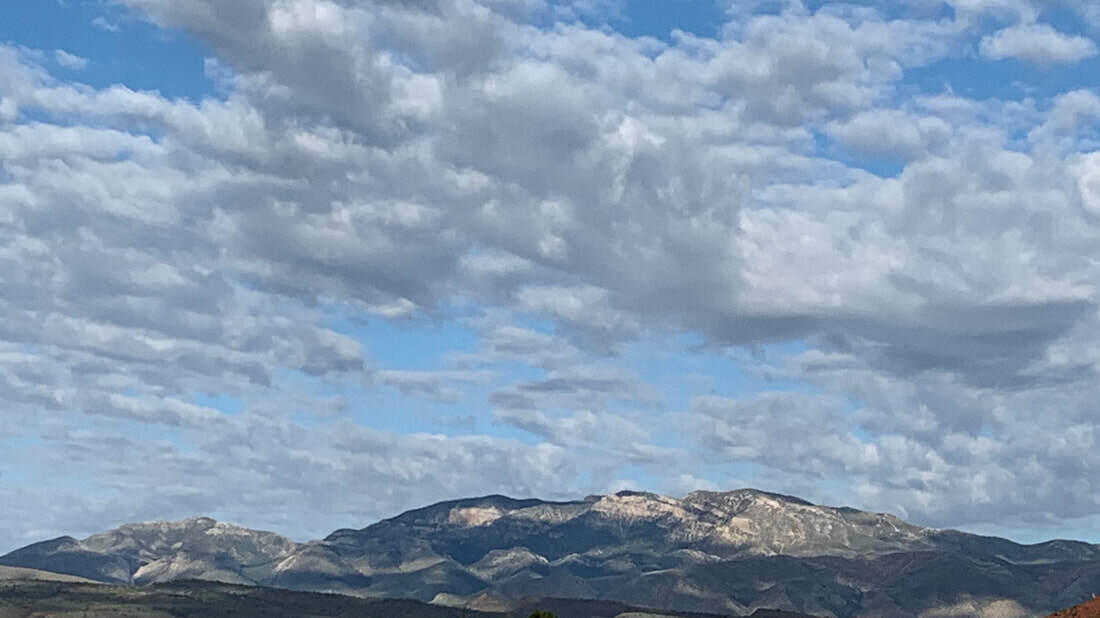 463 E Red Desert Trail