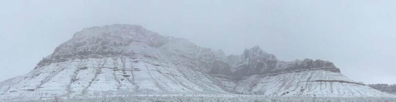 463 E Red Desert Trail