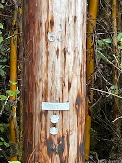 0000 Palainui Avenue