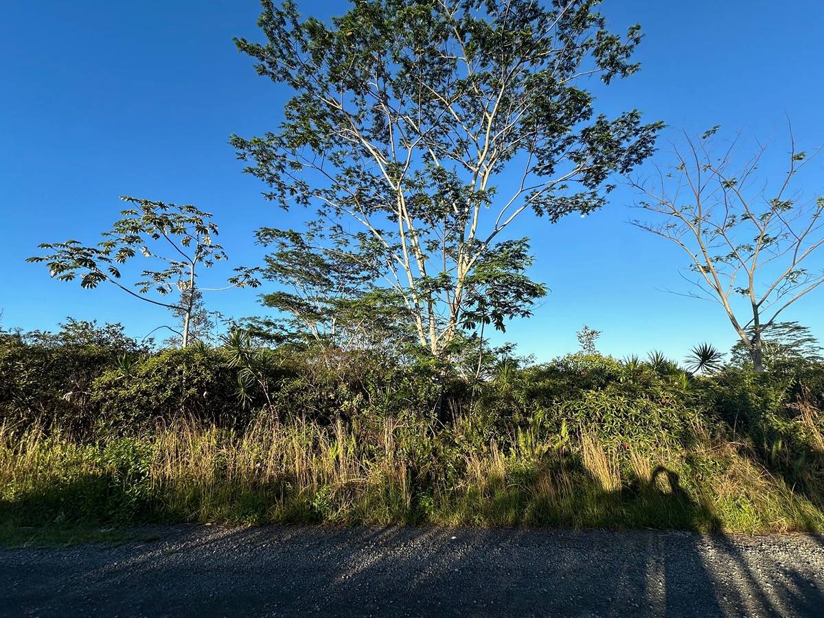 8TH AVE