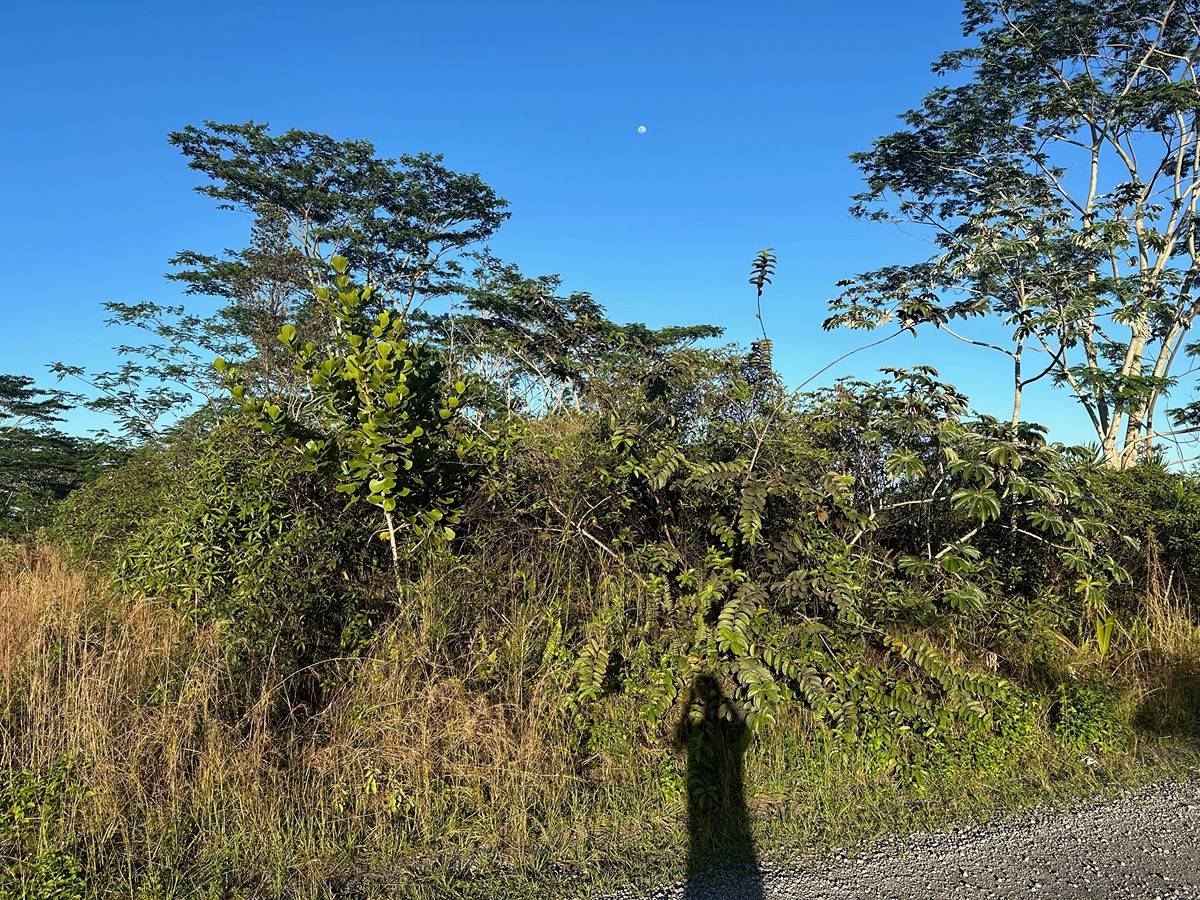 8TH AVE