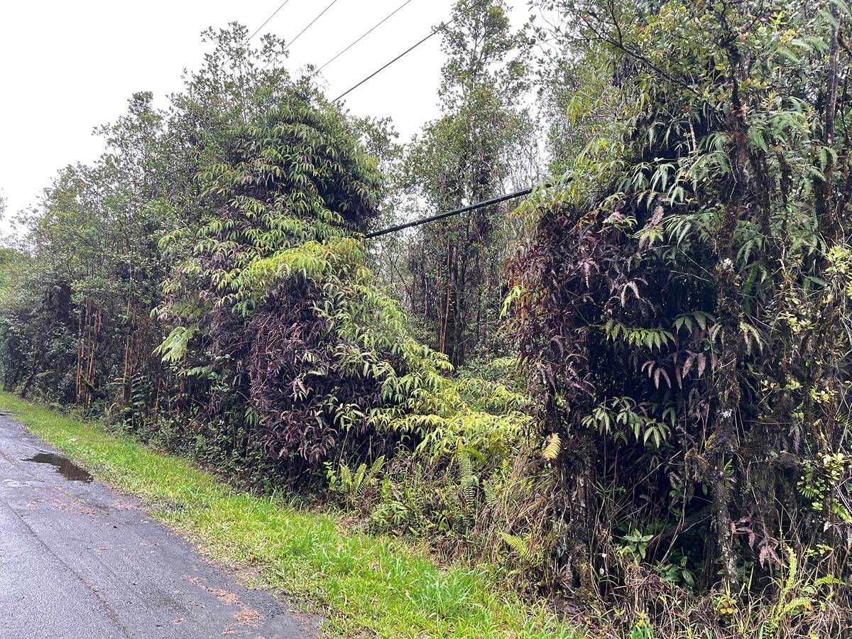 PALAINUI AVE