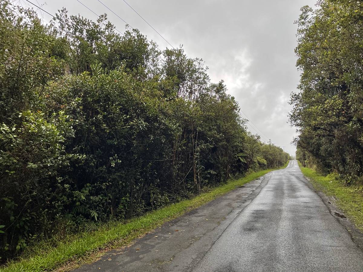 PALAINUI AVE