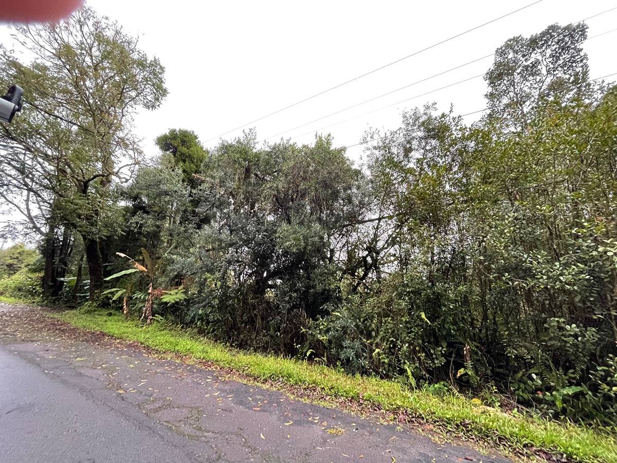 PALAINUI AVE
