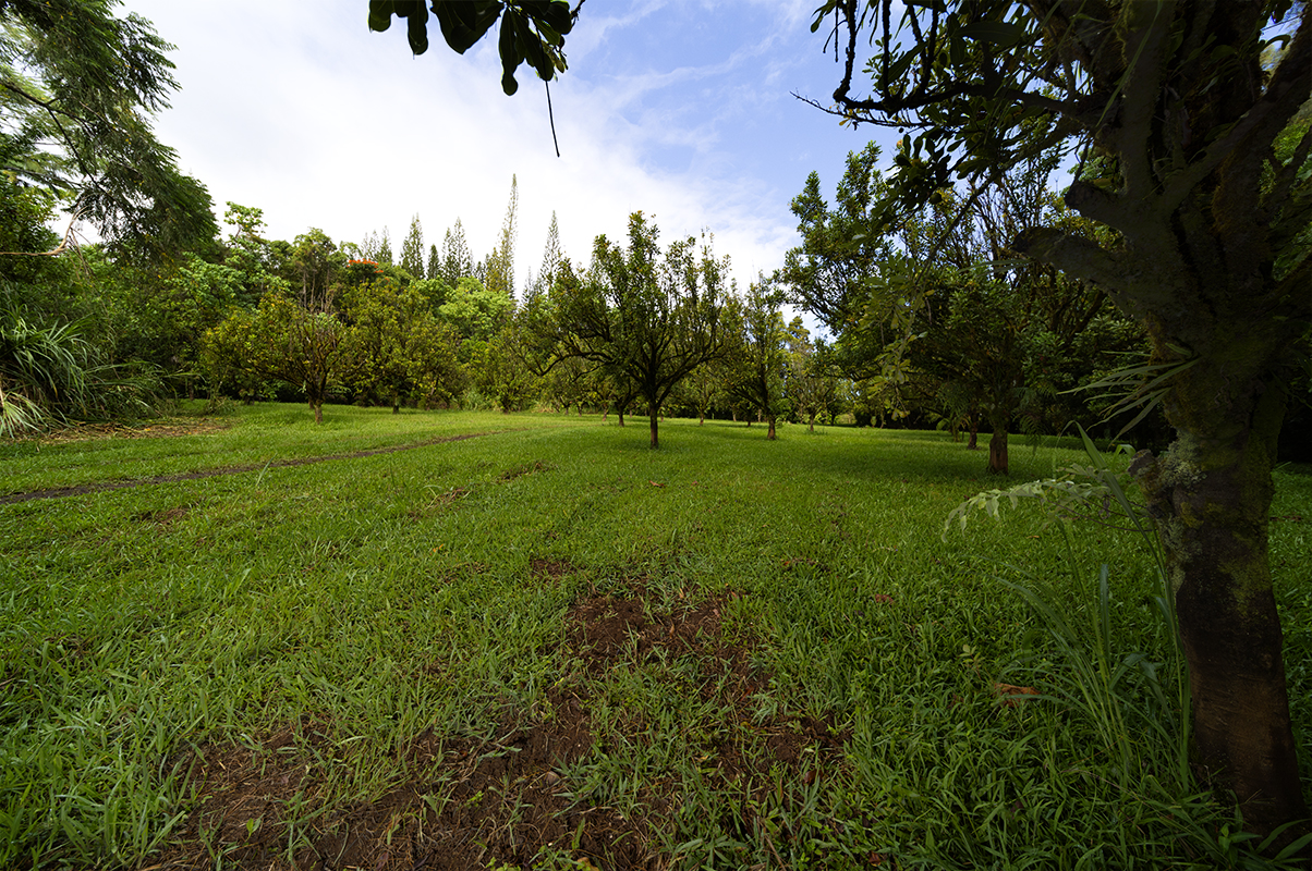 29-2376 KAIWIKI HOMESTEAD RD