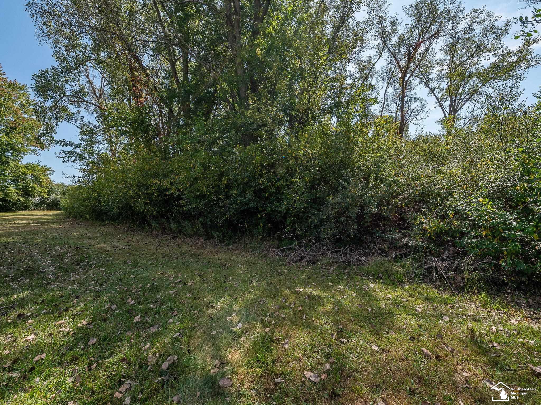 0000 Bluebush Road