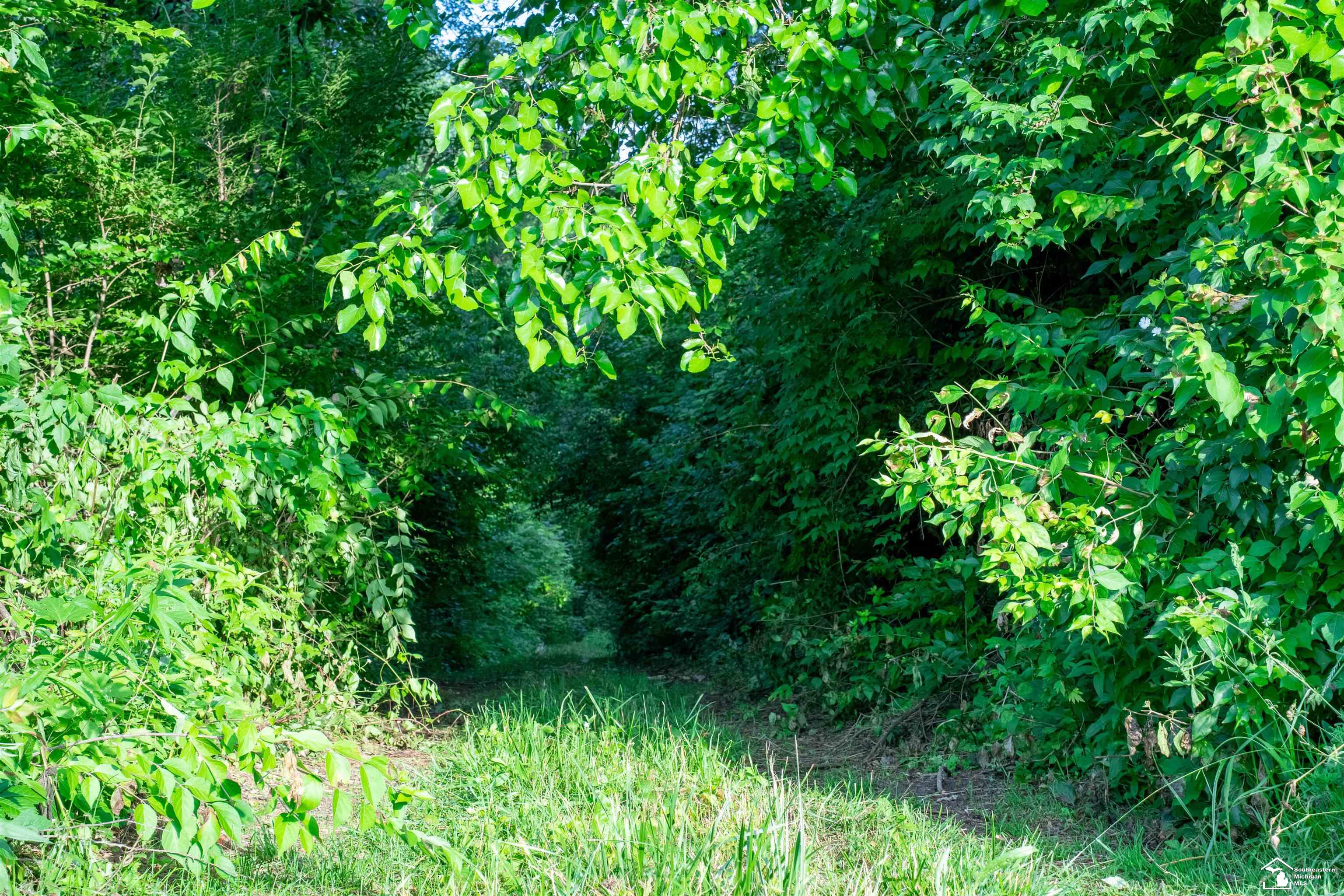 Parcel E Timbers Road
