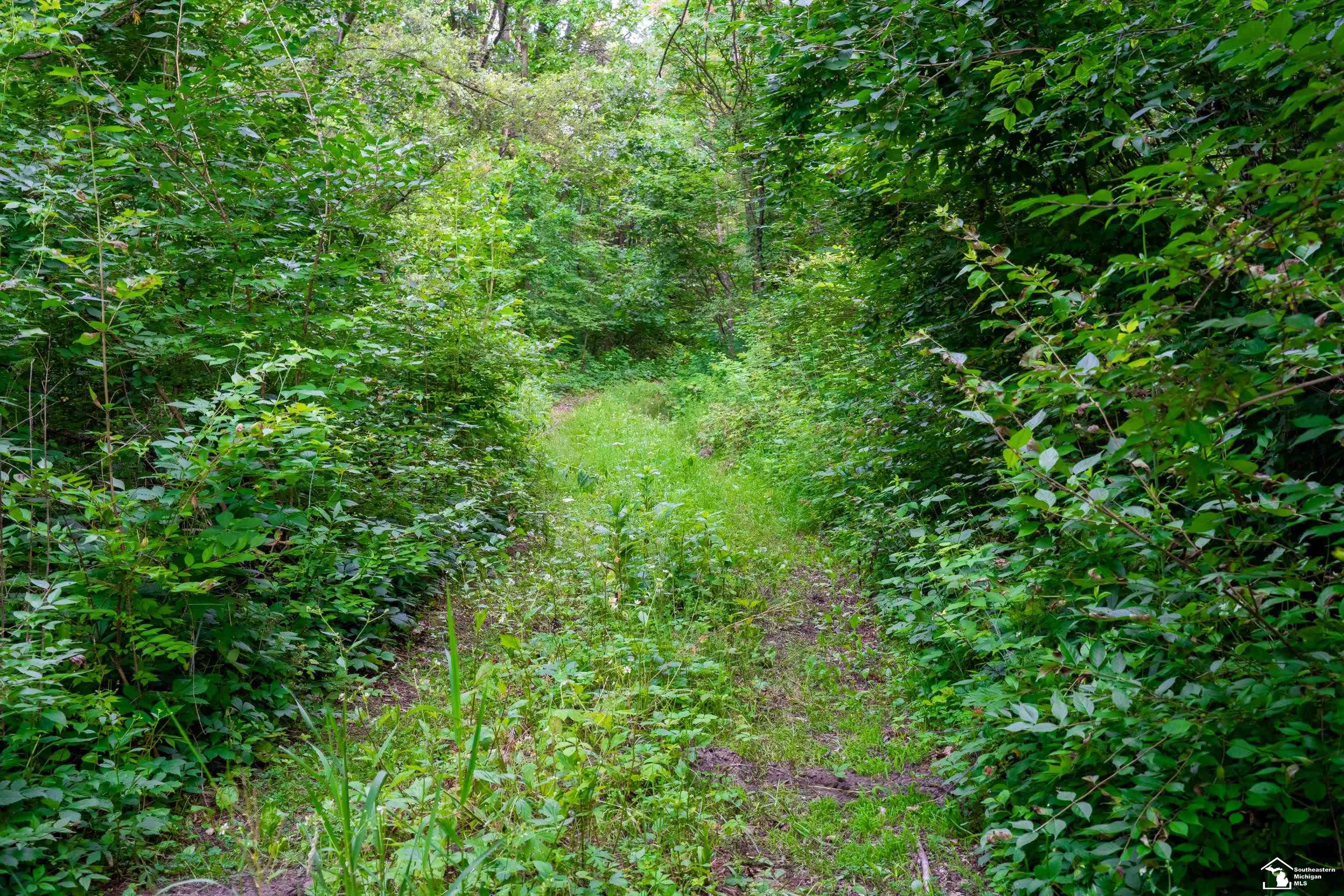 Parcel E Timbers Road