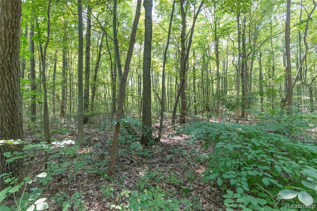 14405 Rawsonville Road