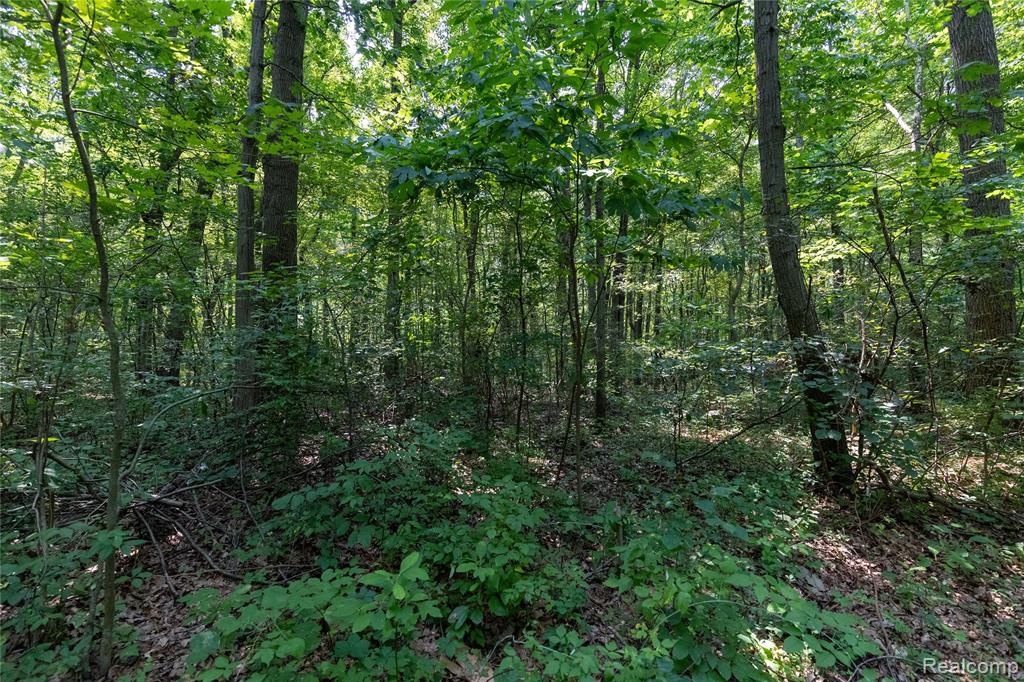 14405 Rawsonville Road