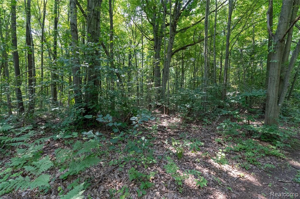 14405 Rawsonville Road