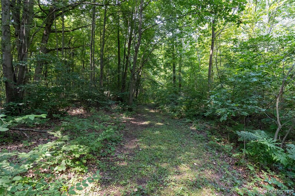 14405 Rawsonville Road