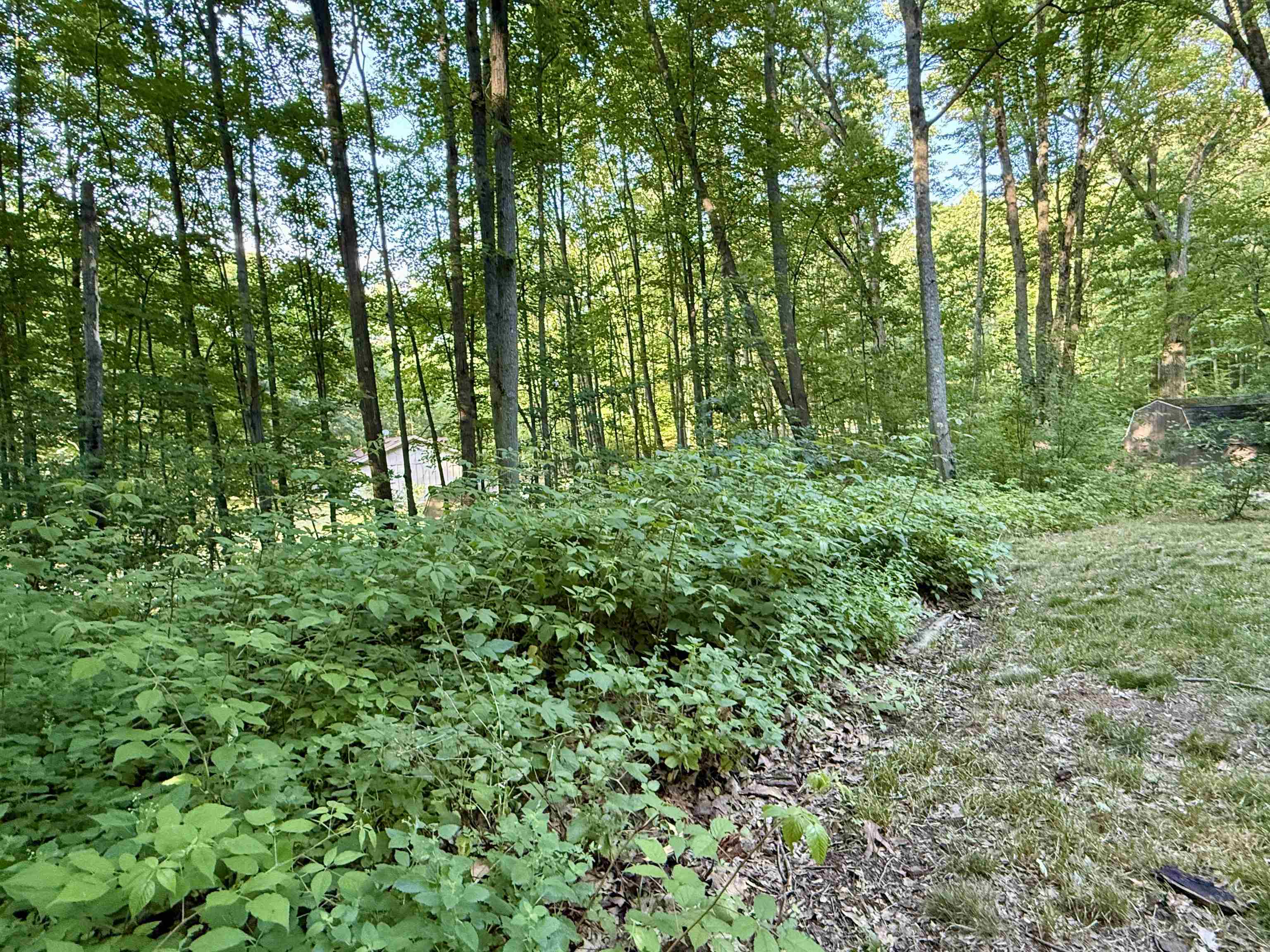 195 Forest Trail, LeRoy Unit: Lot: 81&82