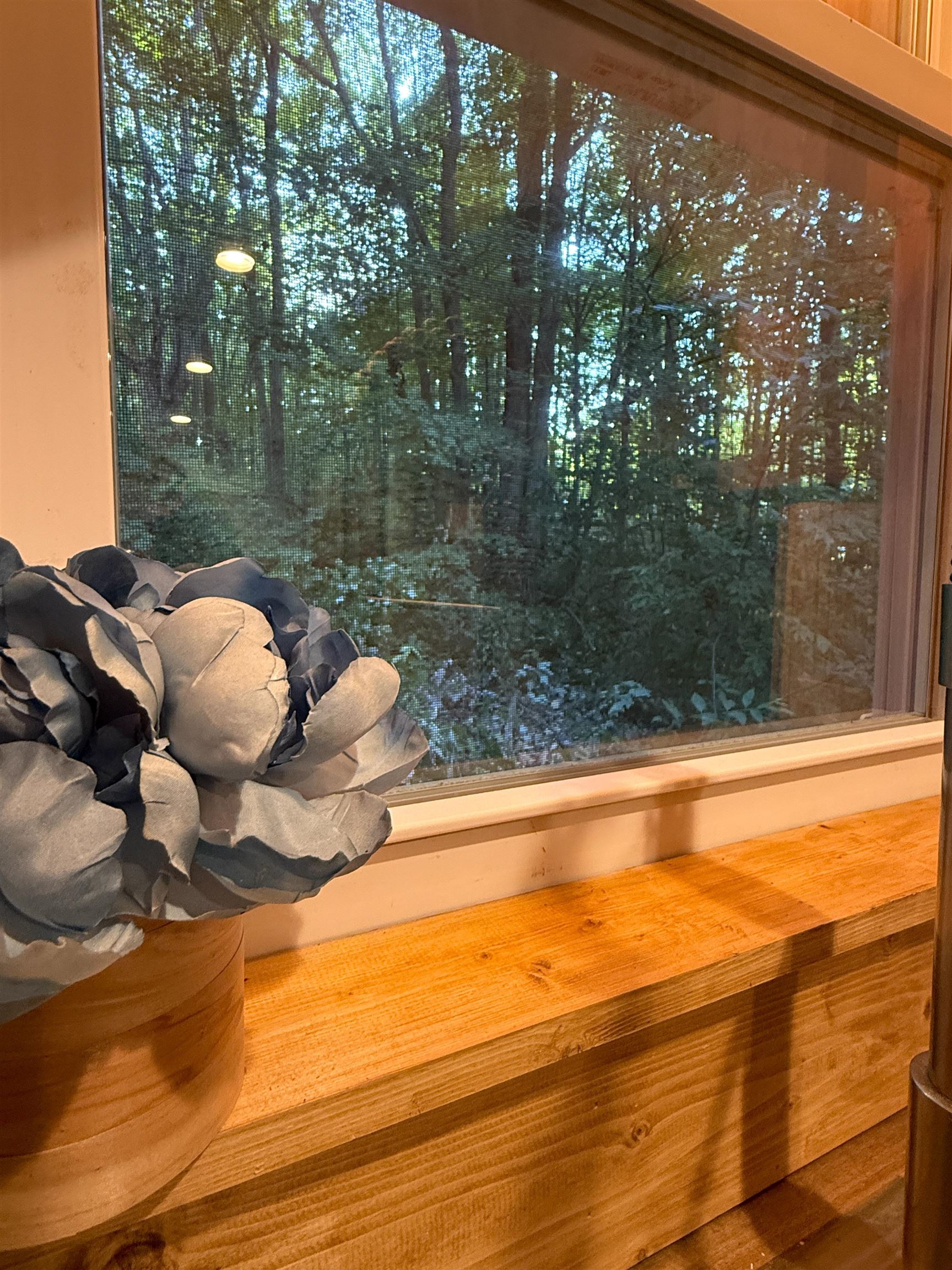 195 Forest Trail, LeRoy Unit: Lot: 81&82