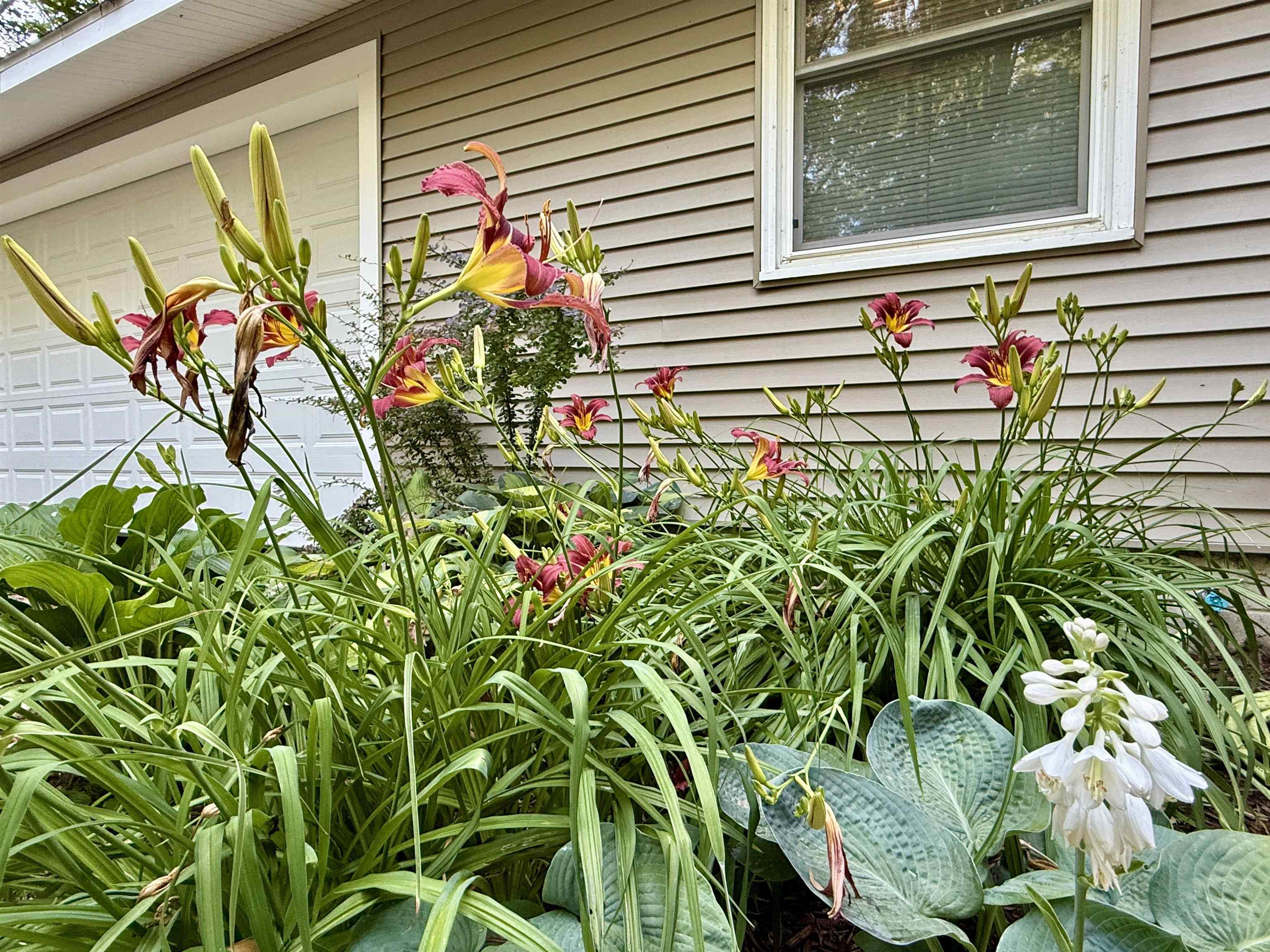 195 Forest Trail, LeRoy Unit: Lot: 81&82