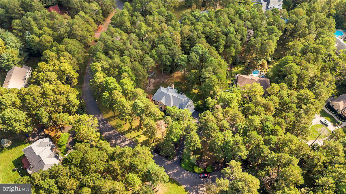 1 SWEET GUM CT