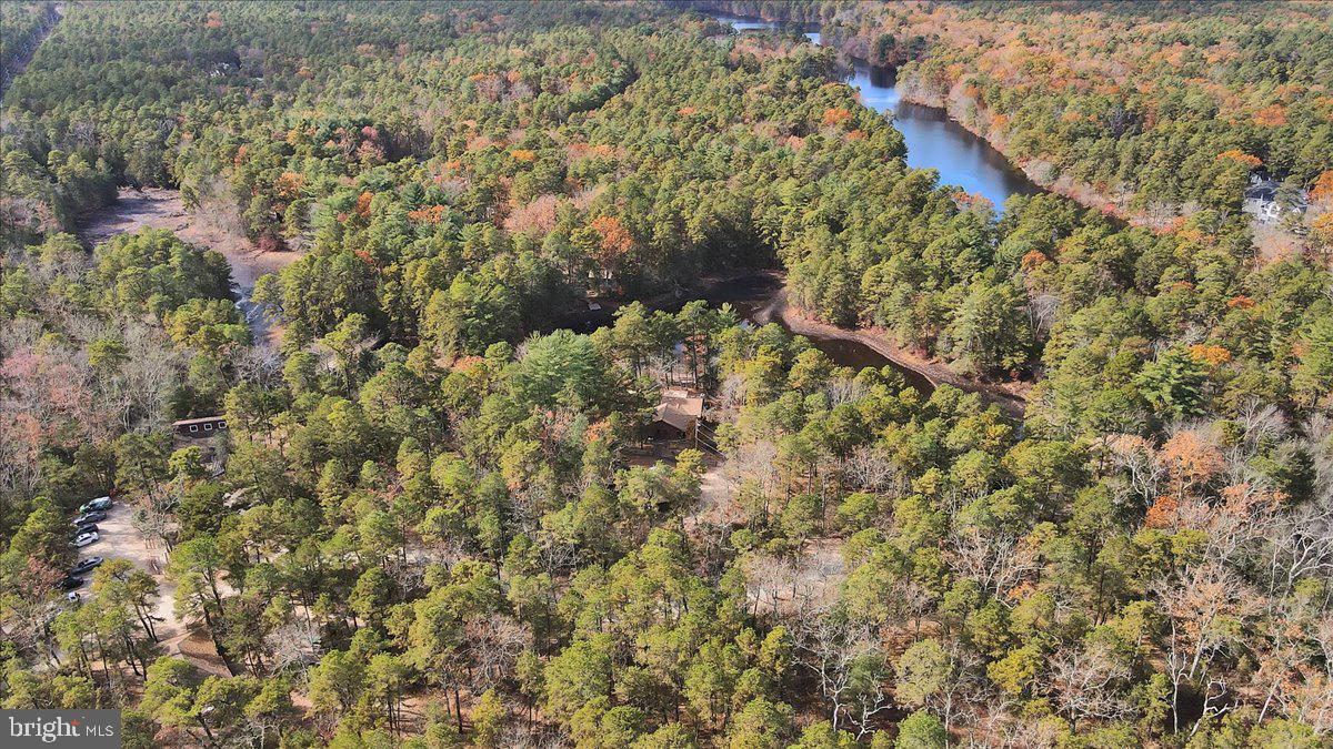 1 SWEET GUM CT