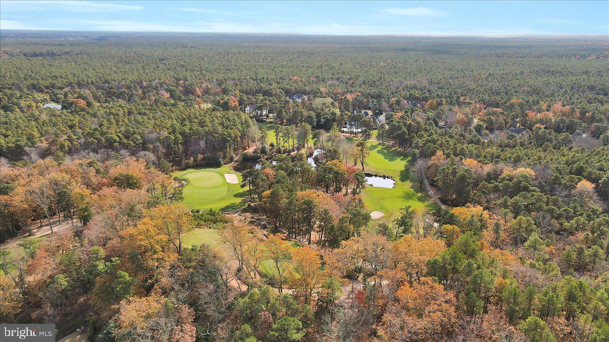 1 SWEET GUM CT