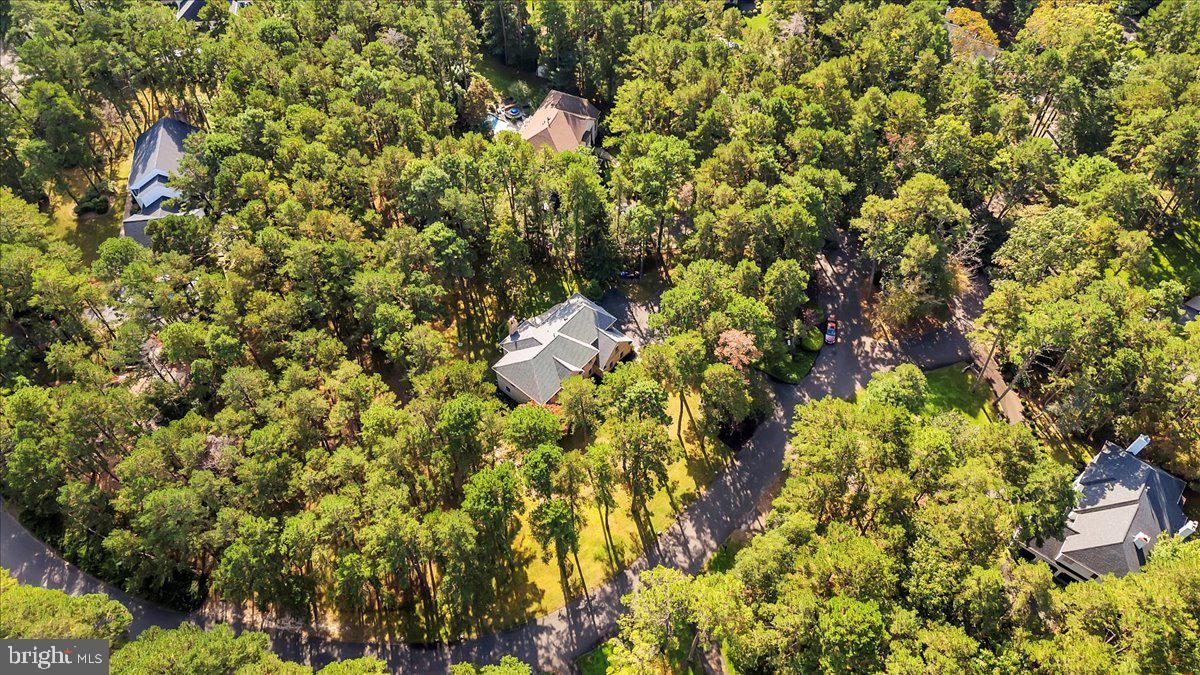 1 SWEET GUM CT