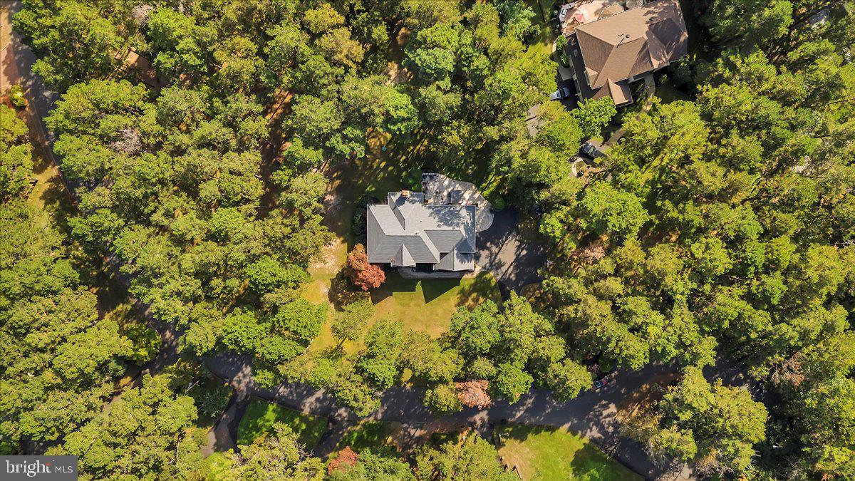 1 SWEET GUM CT