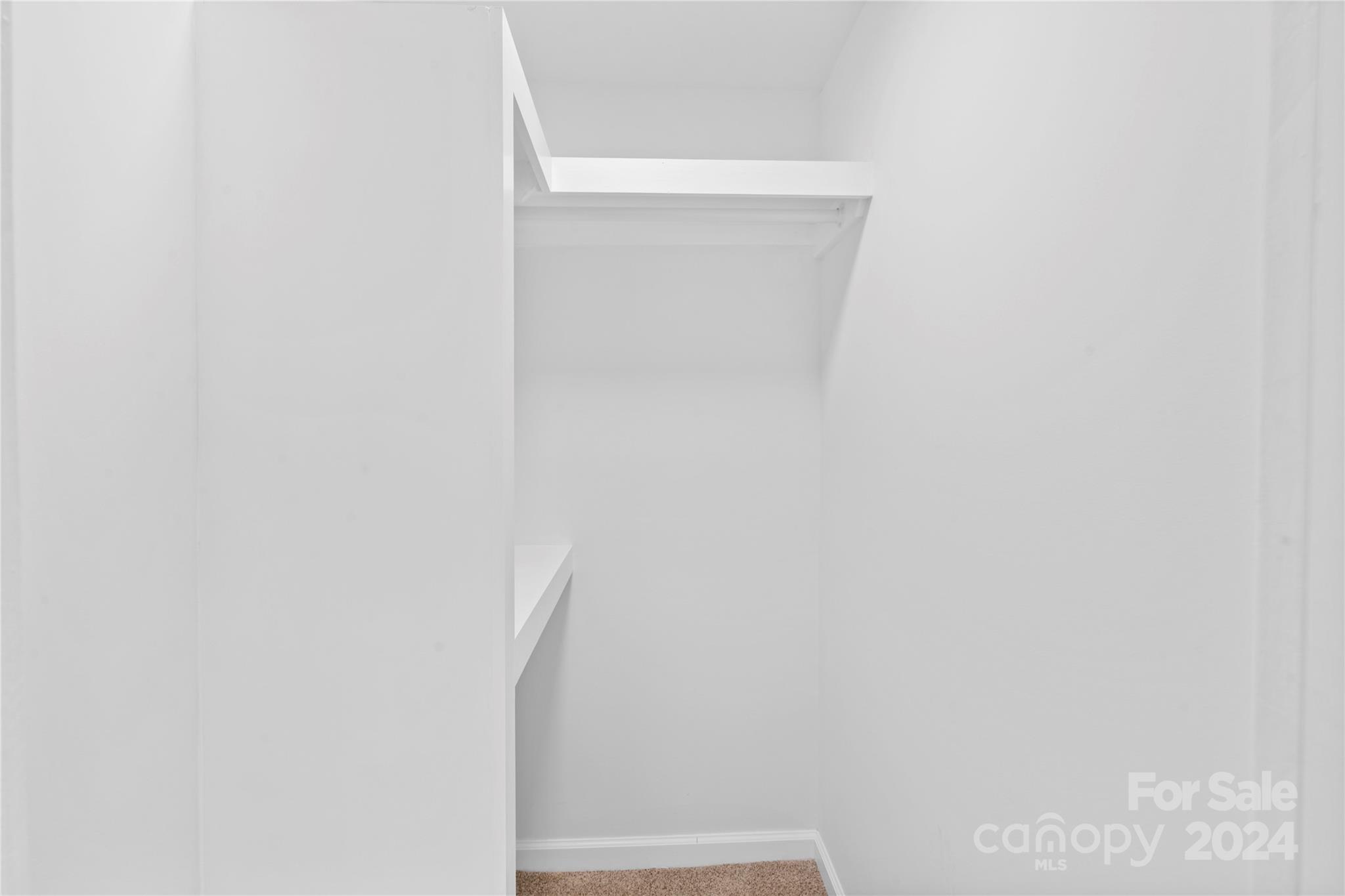 Empty white closet with a hanging rod, upper shelf, and carpeted floor.