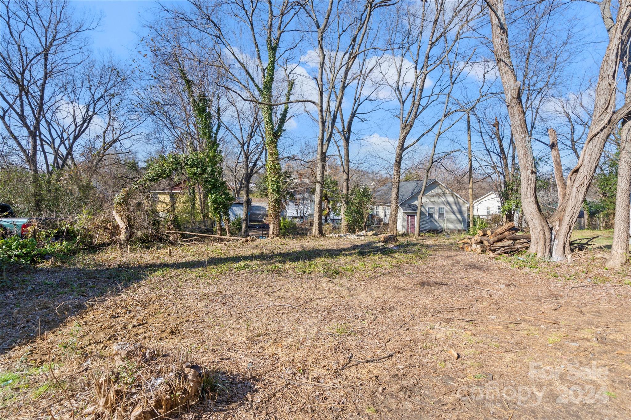 Vacant residential lot with mature leafless trees, a woodpile, and neighboring homes.