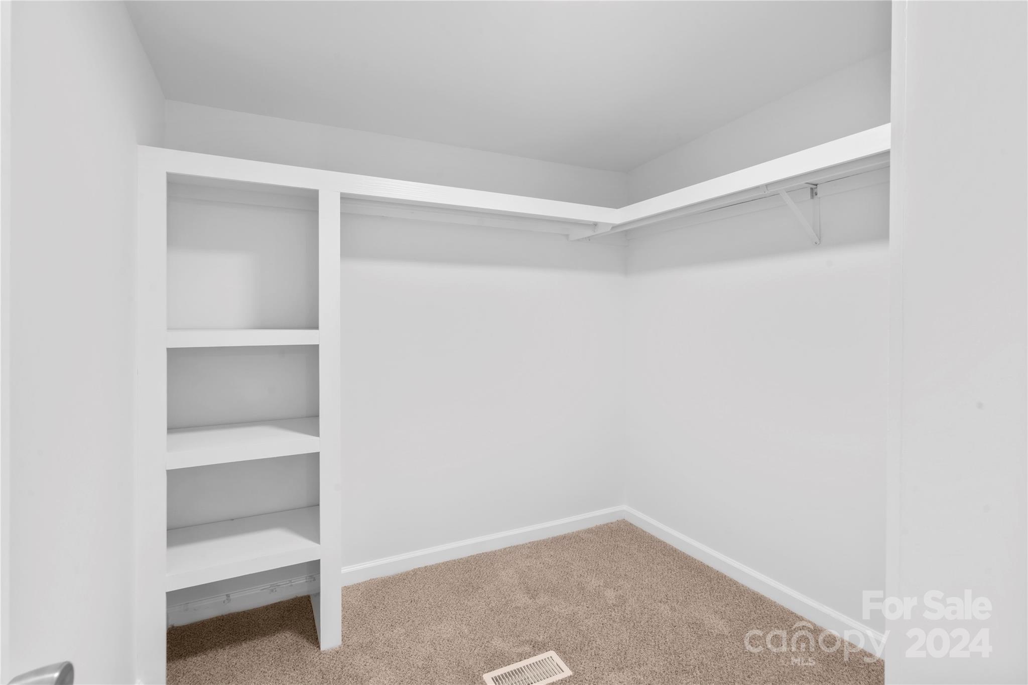 Empty walk-in closet with built-in white shelves, a hanging rod, and beige carpet.
