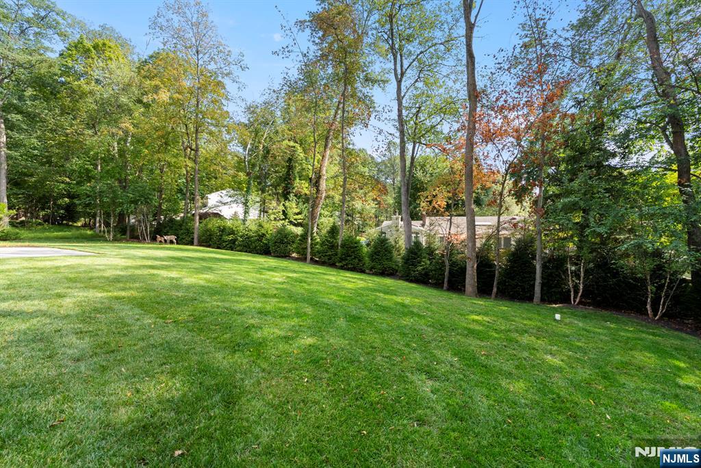 559 Stellman Drive