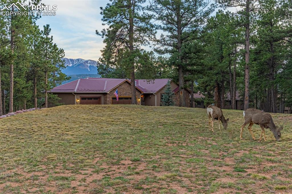 791 Skyline Drive