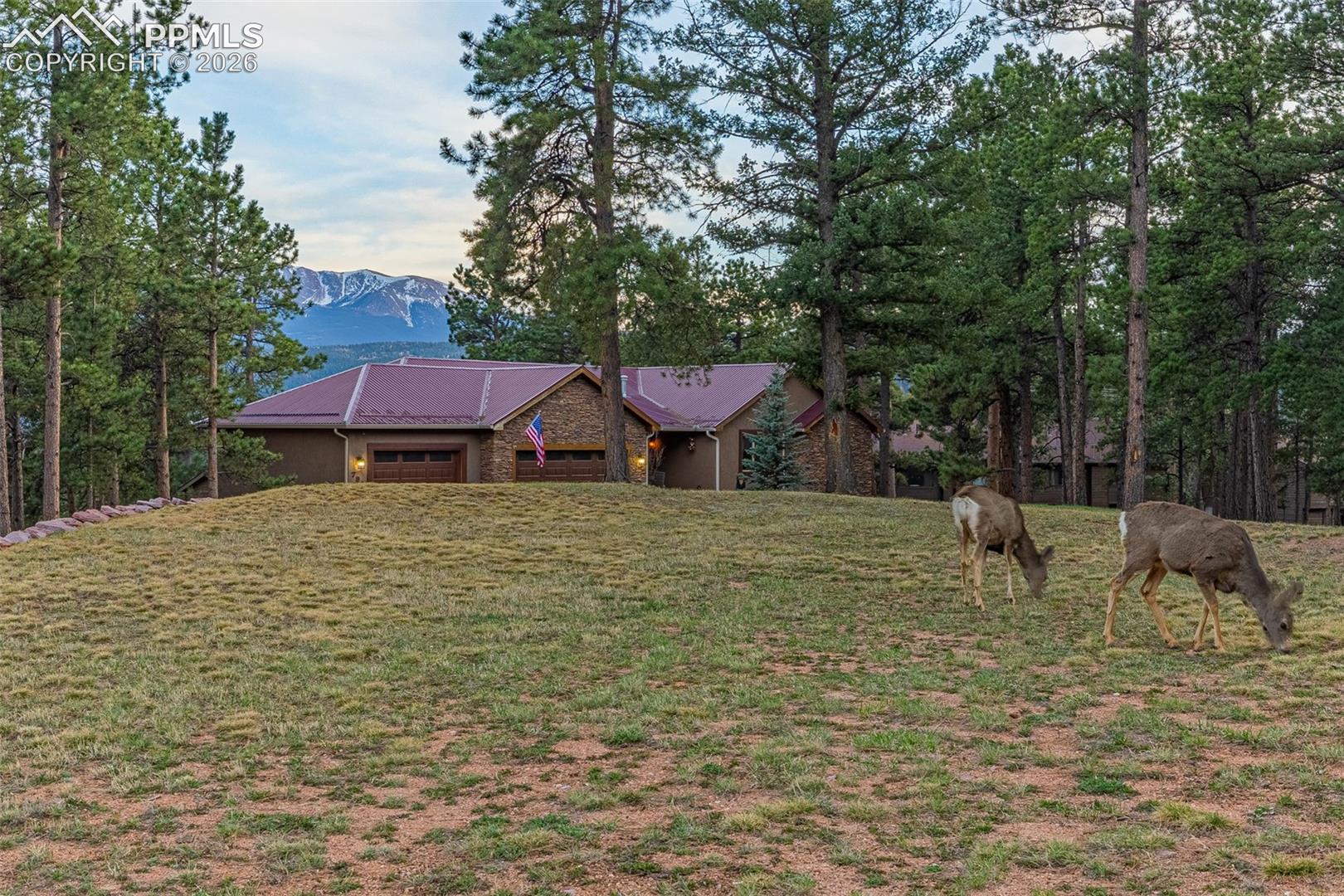 791 Skyline Drive
