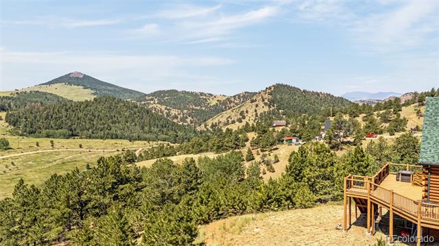 1298 Copper Mountain Drive