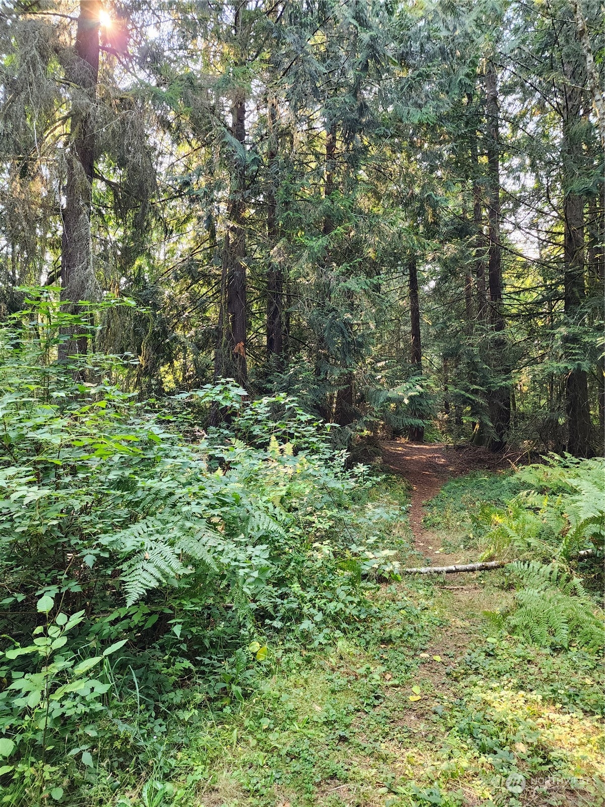 4114 136th Street NW