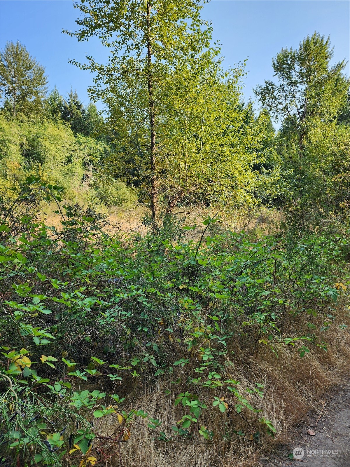 4114 136th Street NW