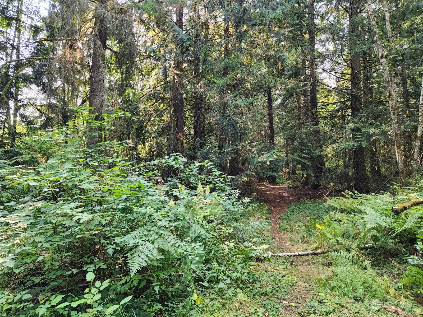 4114 136th Street NW