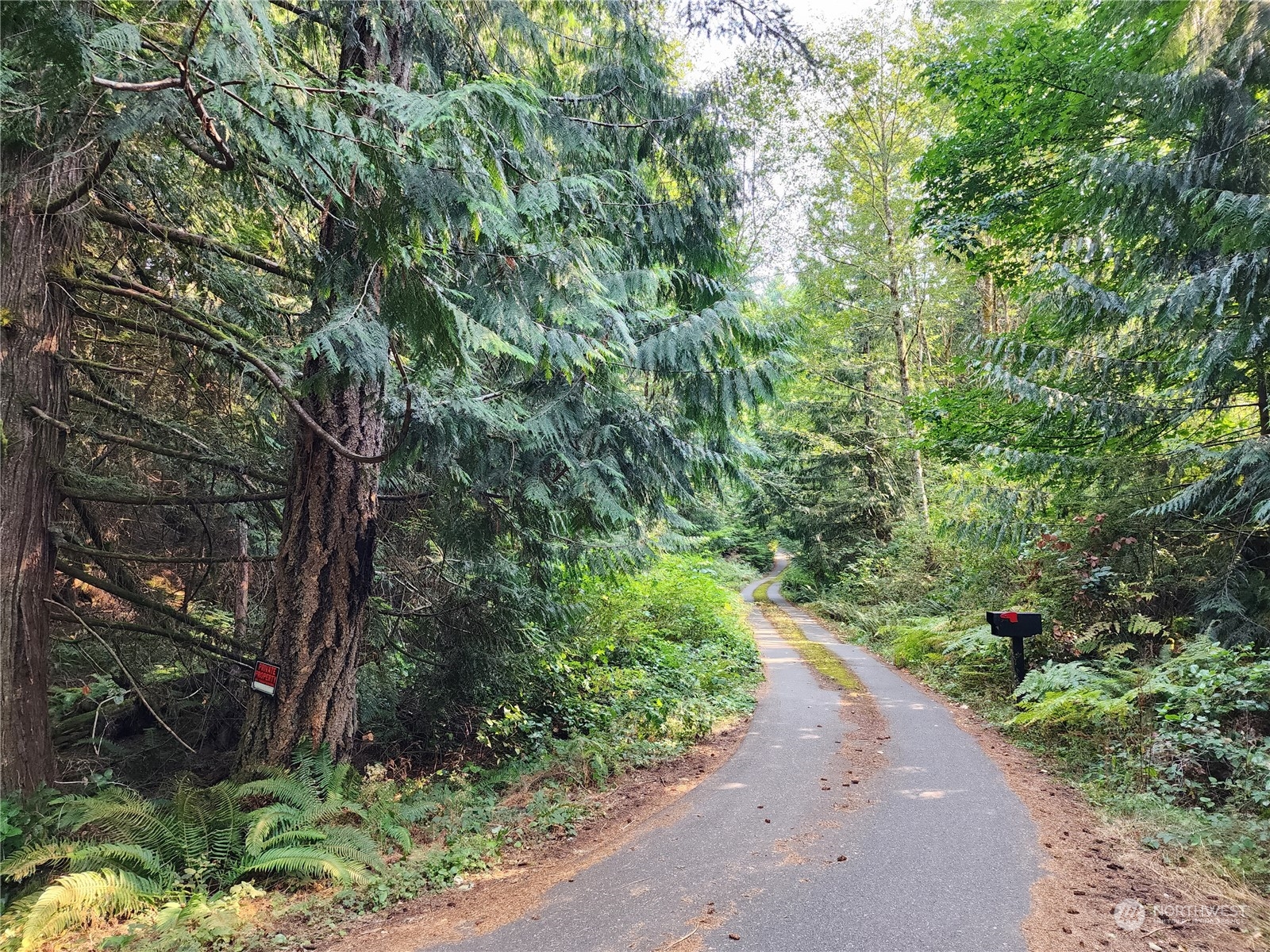 4114 136th Street NW