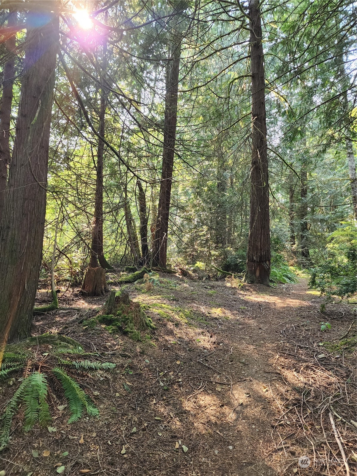 4114 136th Street NW