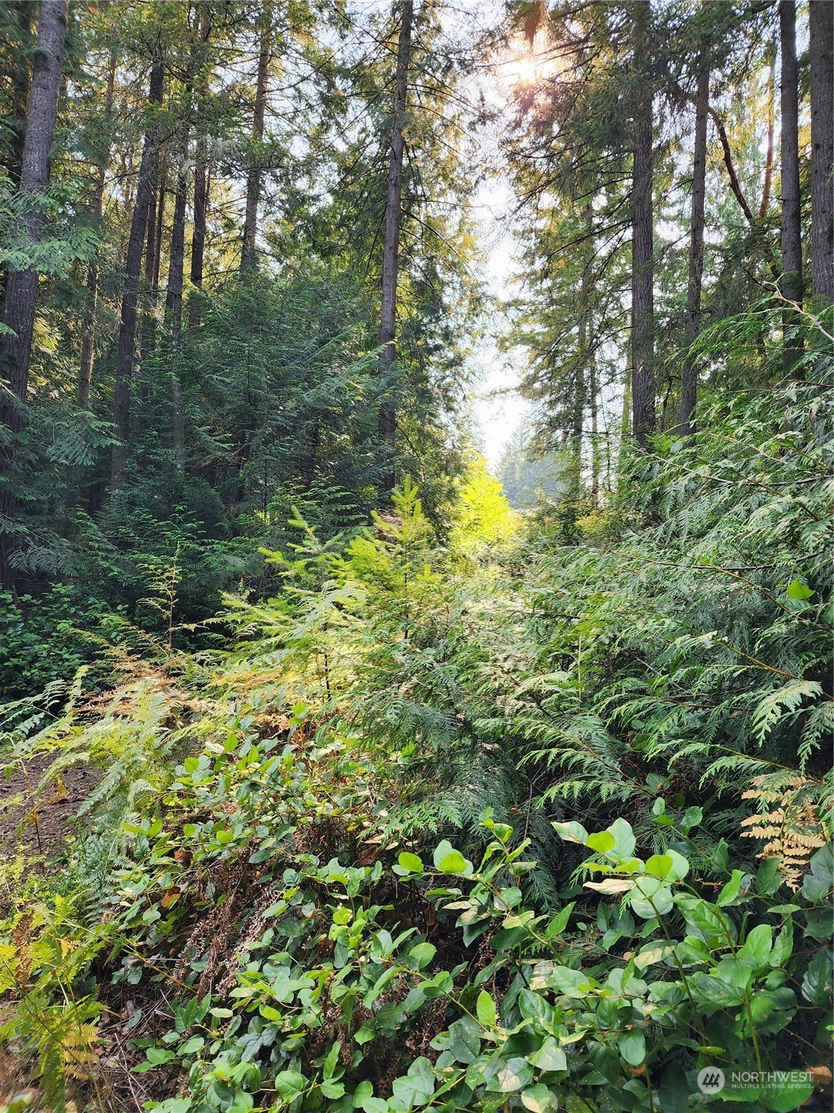 4114 136th Street NW