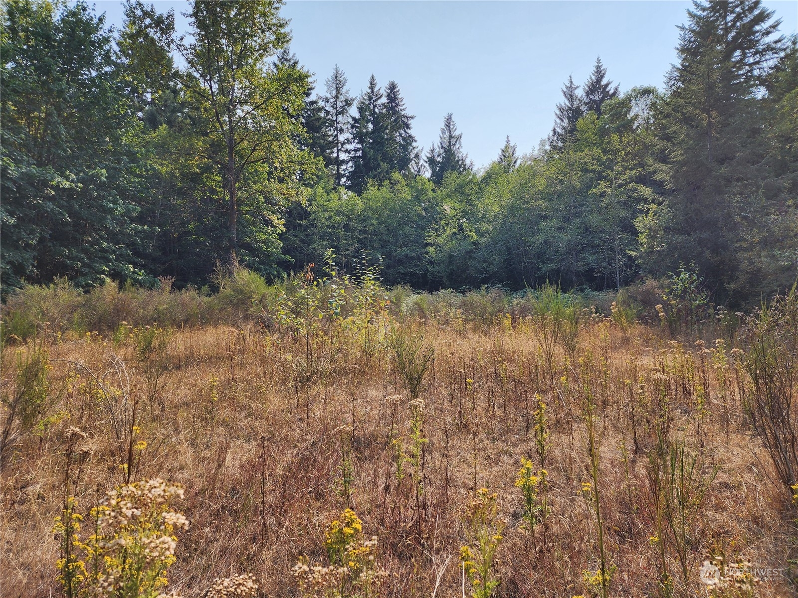 4114 136th Street NW