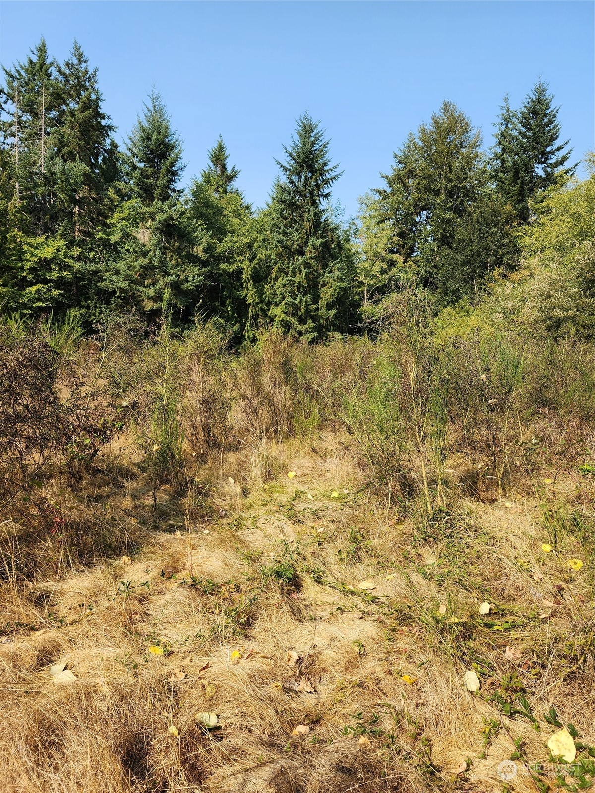 4114 136th Street NW