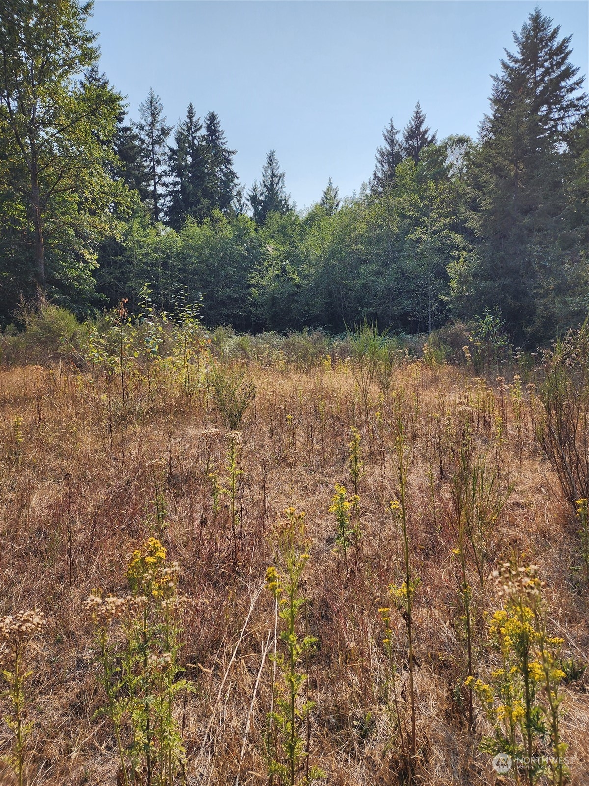 4114 136th Street NW