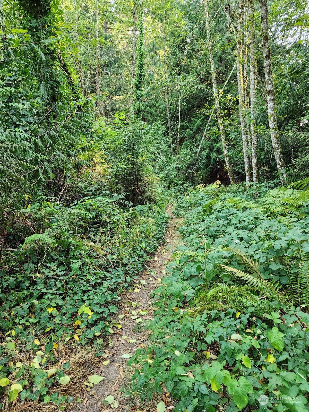 4114 136th Street NW