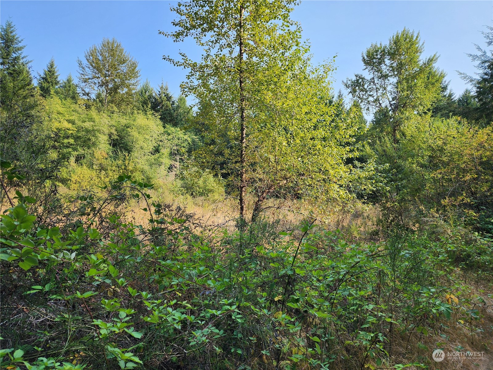 4114 136th Street NW