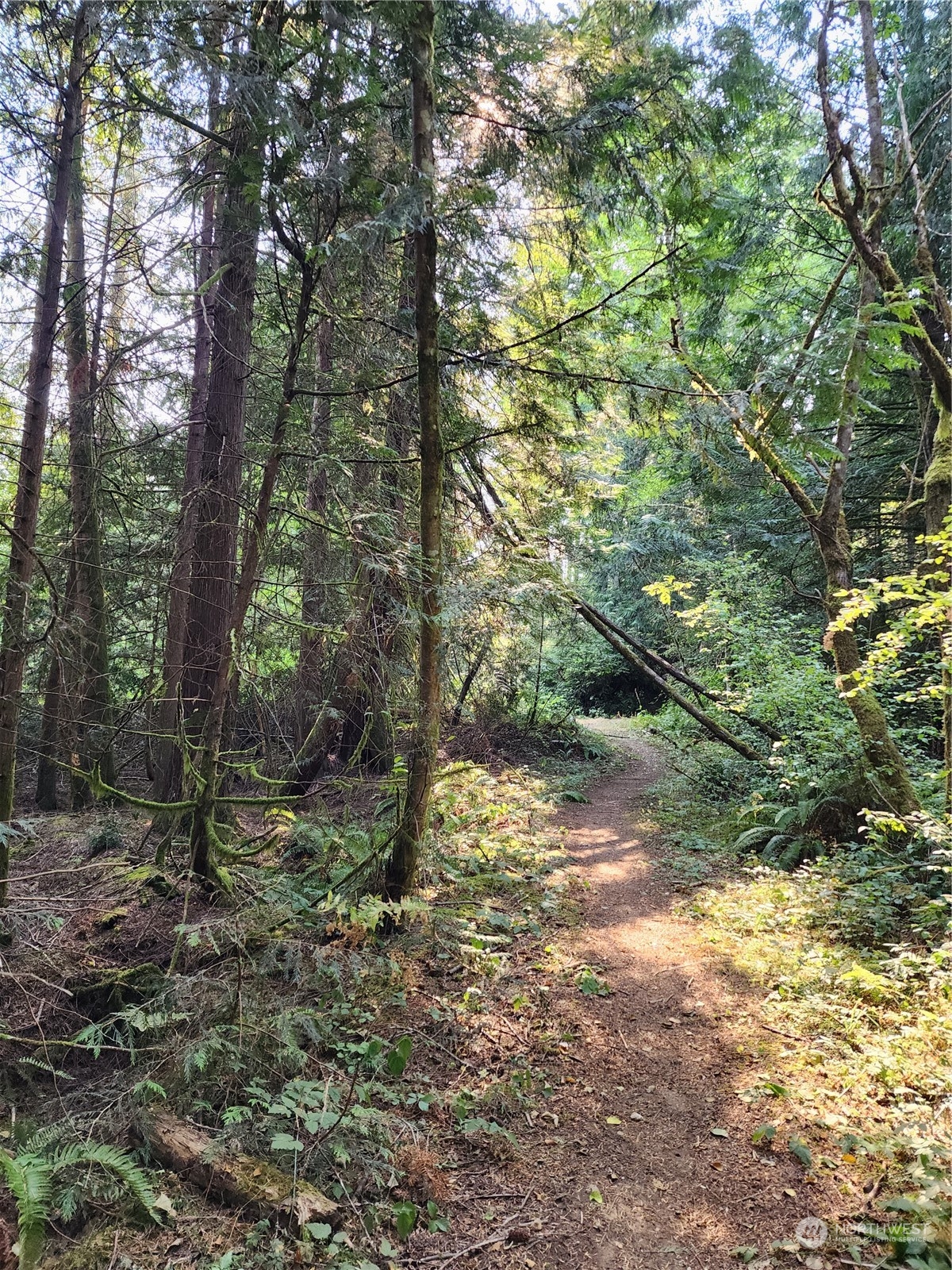 4114 136th Street NW