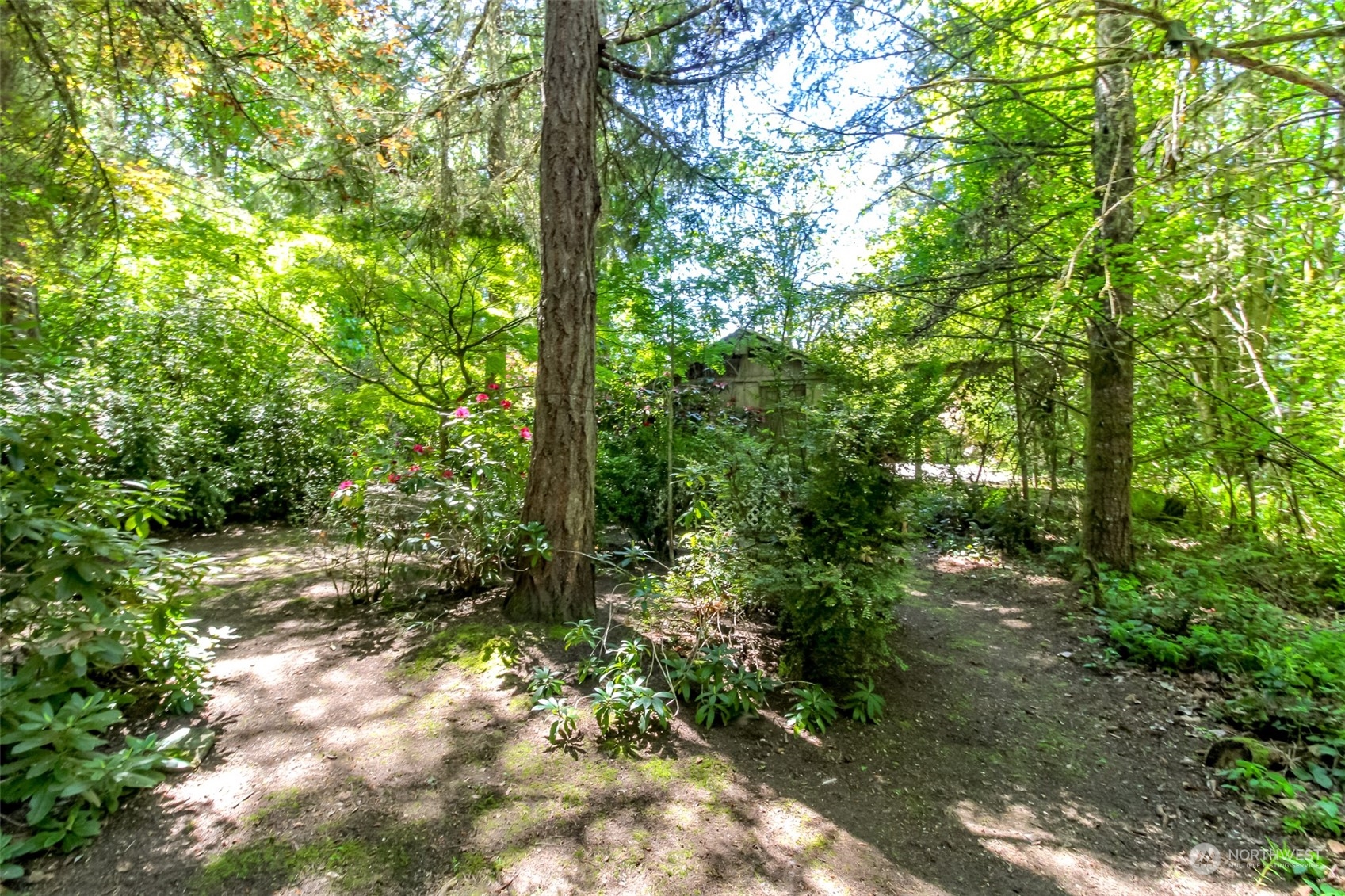 7529 84th Avenue Ct Nw