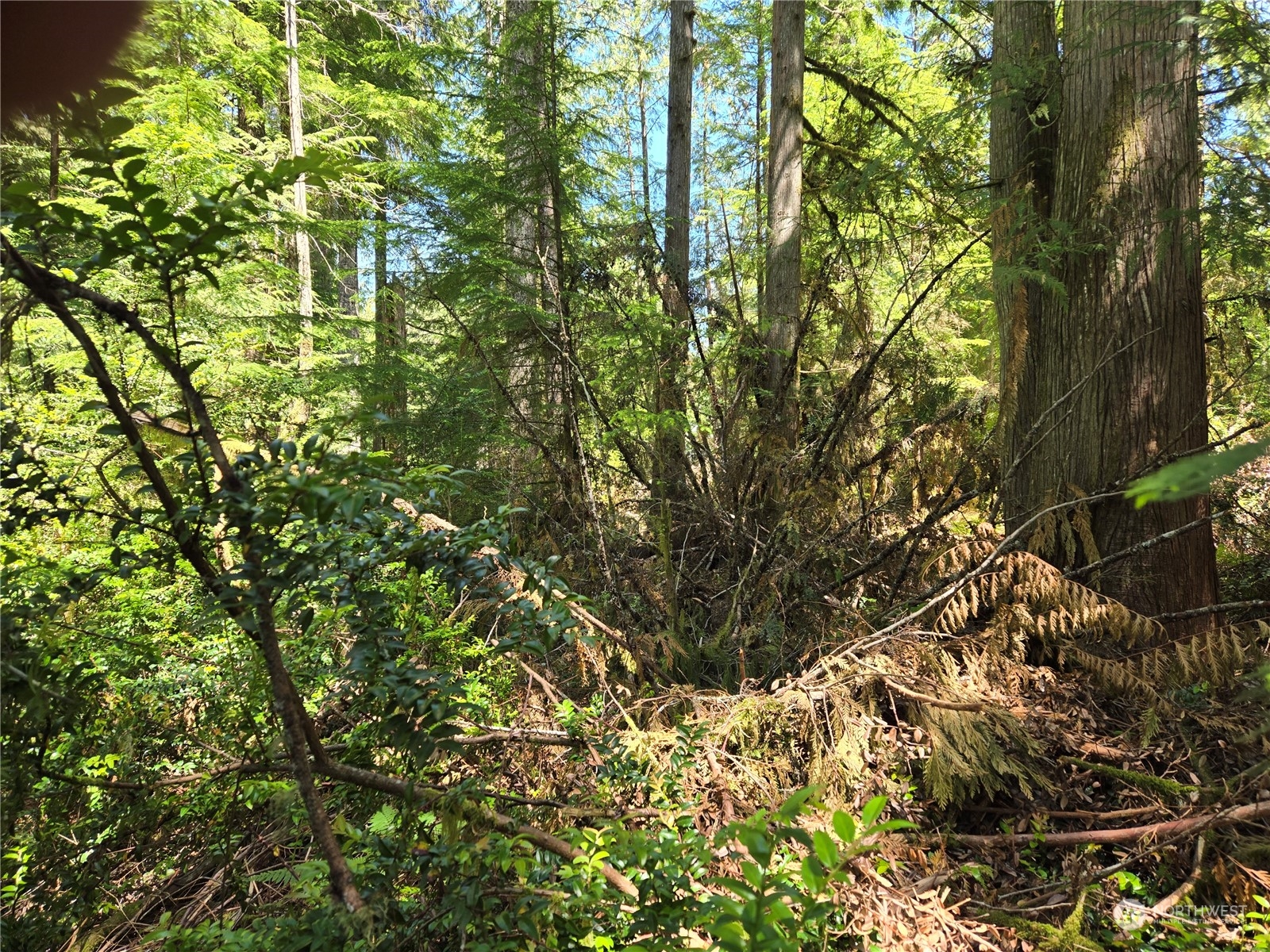 71 E Country Club Drive E